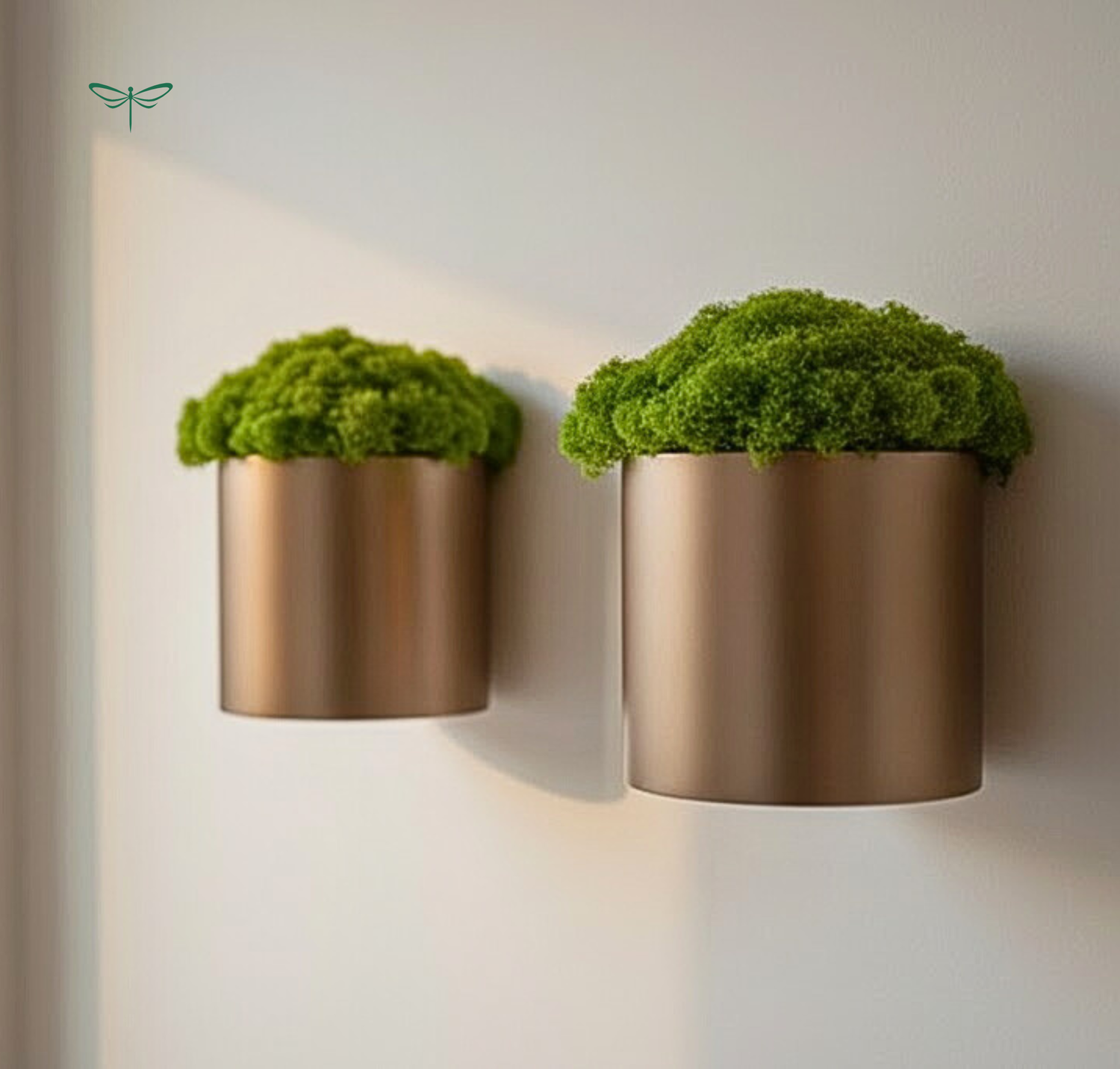 The Indoor Nature Edit